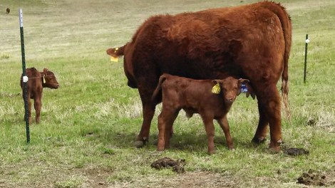 IMG_20140508_103139_159