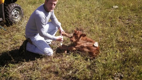 IMG_20140519_091324_152