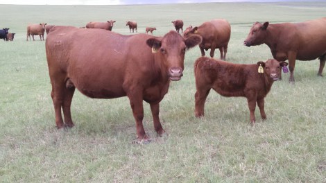 IMG_20140627_151413_859